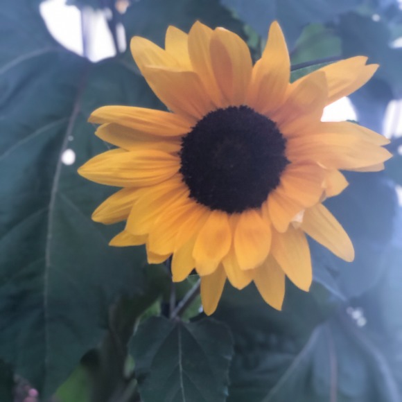 Meet your Posher, SmallFry3113 - Picture 1 of 1